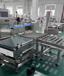 Máy kiểm tra trọng lượng bao bì/thùng/hộp/thùng carton với bộ đẩy loại bỏ