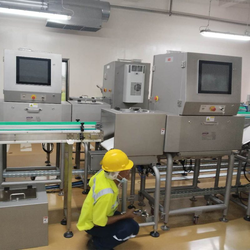 Hệ Thống Kiểm Tra Bằng Tia-X Cho Sản phẩm rời chưa đóng gói